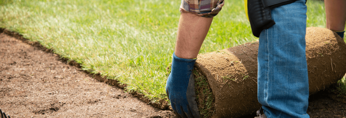 Spark Landscaping