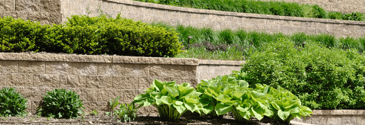 Spark Landscaping