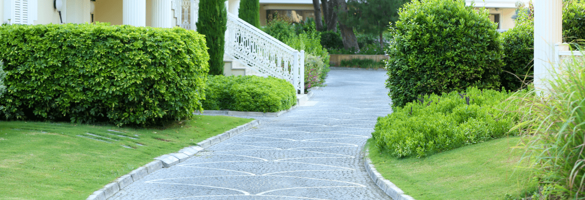 Spark Landscaping