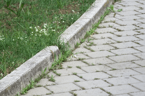 Spark Landscaping