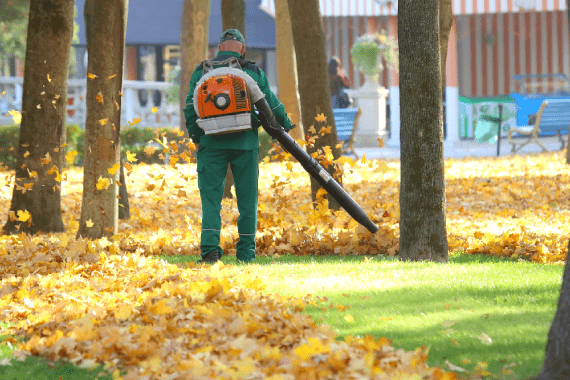 Spark Landscaping